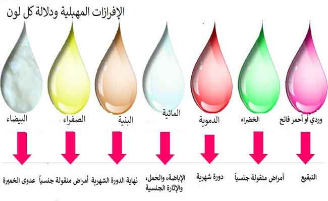 ما هي اهم مكونات السائل المهبلي؟ ومتى يدلّ على مشاكل خطيرة؟