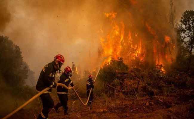 إخماد كل الحرائق التي اندلعت بعدة ولايات