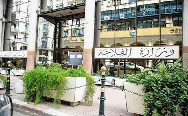 تعويض الفلاحين المتضررين من الحرائق