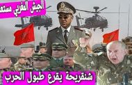 بعد خطاب ملك المغرب الجنرال شنقريحة هذه هي الفرصة لشن الحرب على المغرب