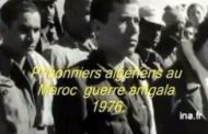 يا أيها الجنرال شنقريحة كن رجلا مرة واحدة في حياتك وأعلن الحرب على المغرب وانتقم لشرفك