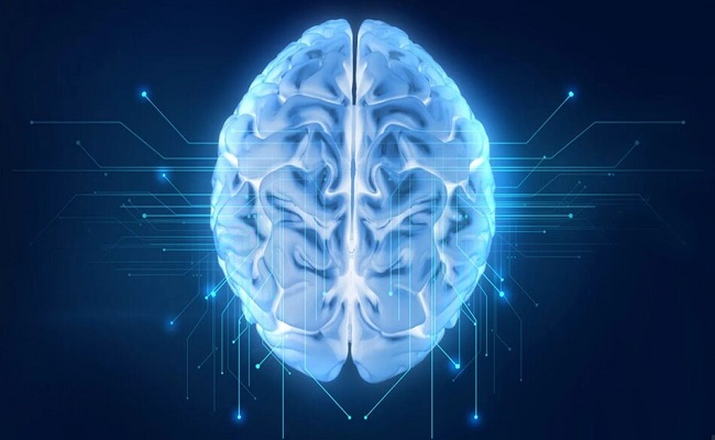 دماغ الإنسان لم يتقلص قبل 3000 عام...