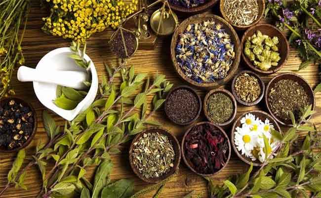أي أعشاب يمكن أن تساعدكم على خسارة الوزن بفعالية؟