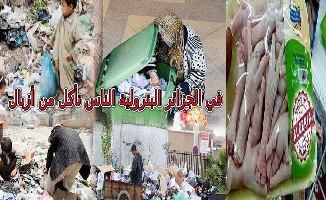 الوقح تبون الجزائر تصدر فقط أرجل الدجاج لو كنا نملك الغاز والبترول الليبي لكنا أحسن من دول الخليج