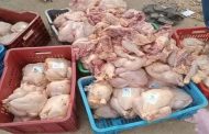 الدرك يحجز 280 كيلوغراما من أحشاء دجاج غير صالحة للاستهلاك ببلدية الولجة بغليزان