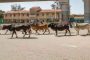 مصرع ثلاثيني في حريق بناية بعين تموشنت