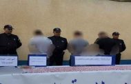 الإطاحة بشبكة إجرامية تحترف ترويج المهلوسات بكشك بالمدية