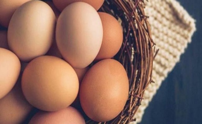 أسعار البيض تواصل الارتفاع في مصر