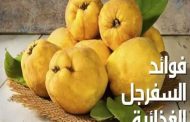 لماذا يجب أن تضيفوا السفرجل الى نظامكم الغذائي؟