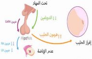 كيف يؤثر ارتفاع هرمون الحليب على امكانية الحمل؟