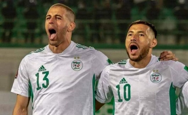 نجوم الخضر مجانا في الصيف...