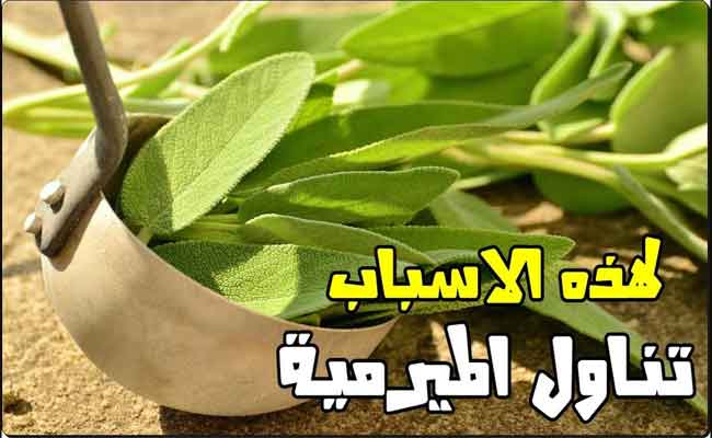كيف سيفيدكم شاي المريمية عند المواظبة على تناوله؟