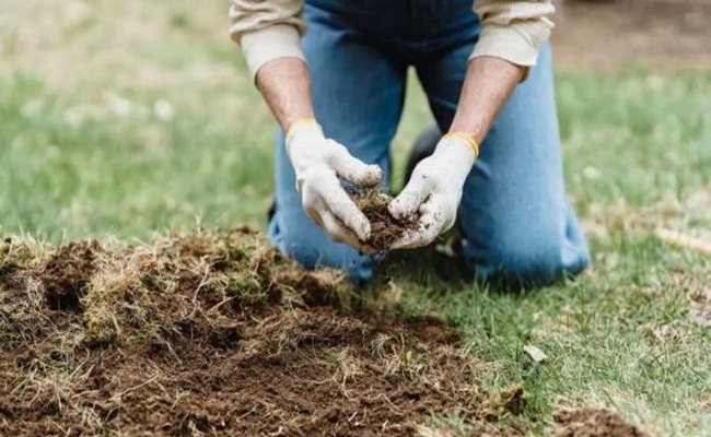 هل تحل تكنولوجيا تحويل فضلات الإنسان أزمة الأسمدة العالمية...