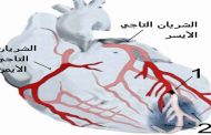 أعراض انسداد الشرايين خطيرة...وتحتاج إلى تدخل طبي فوري
