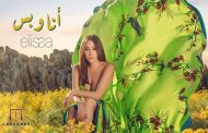 اليسا تنتصر في معركتها القضائية أمام زياد برجي وأحمد الماضي و تؤكد 
