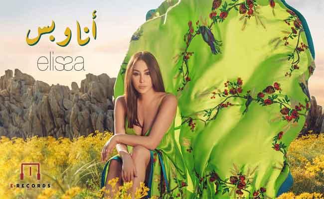 اليسا تنتصر في معركتها القضائية أمام زياد برجي وأحمد الماضي و تؤكد