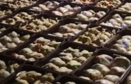 درك توقرت يحجز 17 قنطارا من اللحوم الفاسدة
