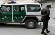 الإطاحة بشبكة إجرامية تحترف المضاربة في الشعير العلفي المدعم بالوادي
