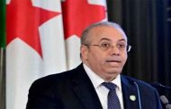 وزير الصناعة يكشف عن إنشاء أول تكتل في الحديد والصلب