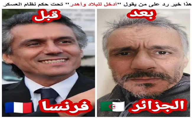 رشيد نكاز لن اضحي بنفسي من اجل شعب لا يهمه الا اشباع بطنه والعناية بمؤخرته