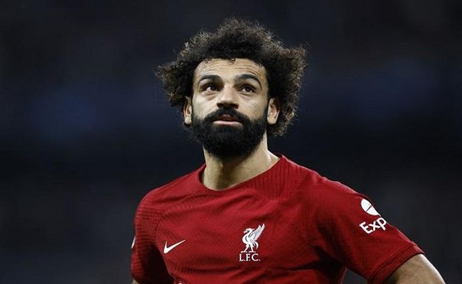 شباك السيتي المفضلة للفرعون...