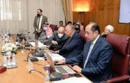 لجنة وزارية عربية تطالب تركيا بسحب قواتها من ليبيا وسوريا والعراق