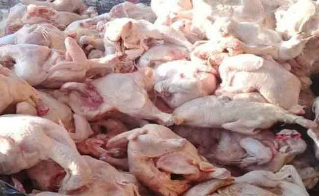 حجز كمية من الدجاج الفاسد في سوق بتيارات