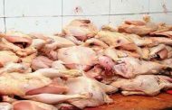 توقيف بائع لحوم بيضاء وإتلاف قناطير غير صالحة للاستهلاك بغليزان