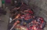 مداهمة محلات لبيع اللحوم بالعاصمة يخلف حجز 12 قنطارا غير صالحة للاستهلاك