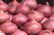 إدانة مضارب في البصل الأحمر بسبع سنوات سجنا نافذا