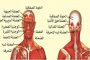 رائحة الحرب تفوح على حدود لبنان وإسرائيل