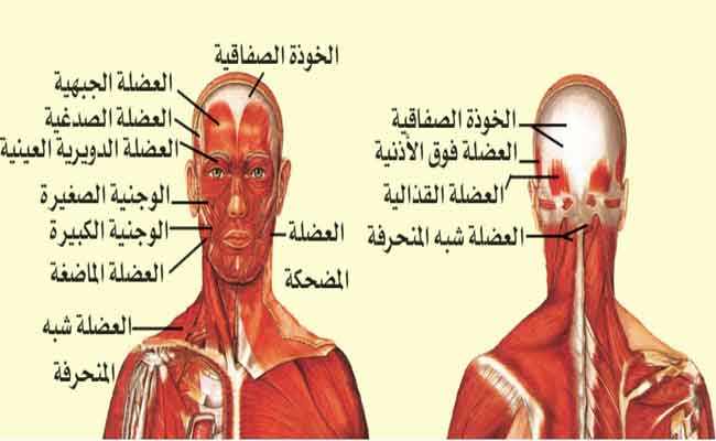 هذه العلامات تعني أنّكِ تعانين من الصداع التوتري!