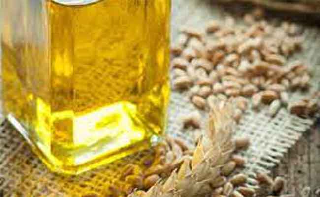 فوائد زيت جنين القمح للبشرة وطريقة استخدامه بطرق آمنة...