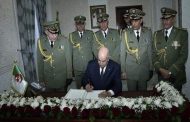 المواطن يَقْتُل من أجل عقب سيجارة ولا يستطيع مواجهة العصابة لتحرير نفسه