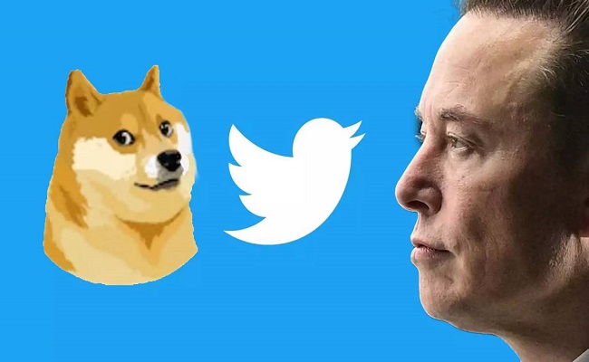 لماذا غيَّر ماسك شعار تويتر إلى صورة الكلب Doge ؟