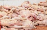 حجز أزيد من 5 قناطير دجاج غير صالح للاستهلاك بقالمة 