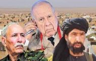 الجنرالات وورقة إرهاب في دول الجوار