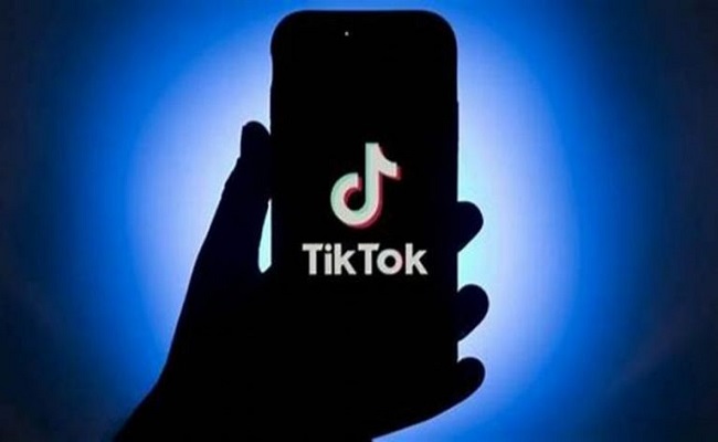 200 مليون دولار تعويضات من هيونداي بسبب تيك توك...