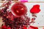 احتضان الجزائر اجتماع اتفاقية التعاون الإقليمي الإفريقي بمجال التكنولوجيا النووية