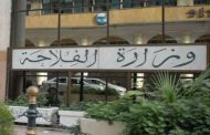 وزارة الفلاحة تنفي