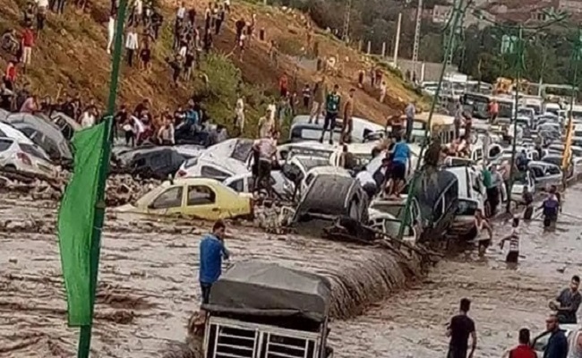 لهذا الشعب الجزائري الخانع يمتلك ذاكرة السمك