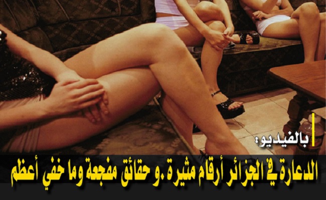 الجنرالات يحققون أرباح بمليارات الدولارات والشعب الجزائري يقتات من الرذيلة