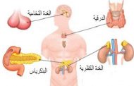 9  إشارات مبكرة من الجسم تشي بمرض الغدد الصماء...