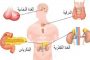 5 علاجات تساعدكِ على علاج تقصّف الشعر الشديد!