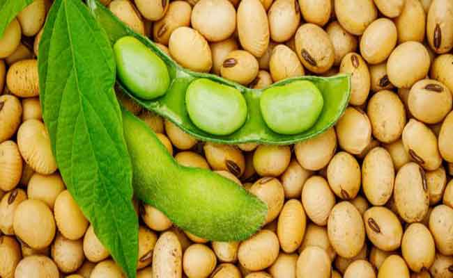 أضرار الصويا وفوائده بالتفصيل...وفق اختصاصية تغذية