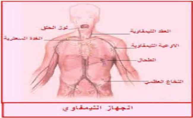 نظام صحي للوقاية من سرطان الغدد الليمفاوية في يوم التوعية منه...