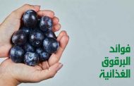 فوائد البرقوق لا تُثمن...زوّدي جسمك بجرعة من مضادات الأكسدة