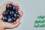 زياد برجي يرفض جائزة