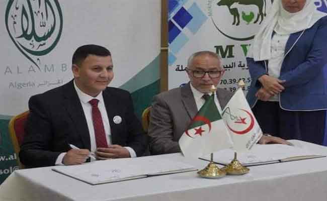 الجزائر تترأس الاتحاد العام للأطباء البياطرة العرب