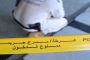 عرقاب يؤكد أن الموارد المنجمية تدفع بحركة النموِ الاقتصادي 